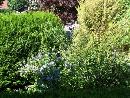 ESPACES VERTS