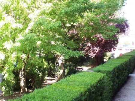 ESPACES VERTS